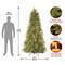 7.5 Ft. Pre-Lit Feel Real® Tiffany Fir Slim Artificial Christmas Tree, Clear Lights